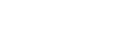 Elbreinigung